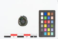 Foto von Bronzering (NHMW-PRAE-025204)